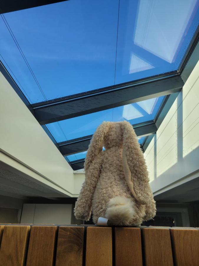 Tiny Villa De Haas Met Infraroodsauna エグモント・アーン・ゼー エクステリア 写真